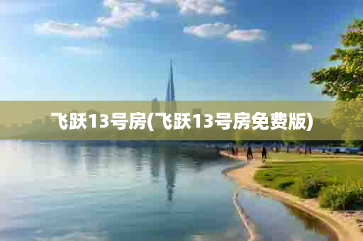 飞跃13号房(飞跃13号房免费版)