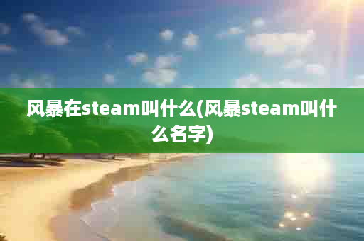 风暴在steam叫什么(风暴steam叫什么名字)