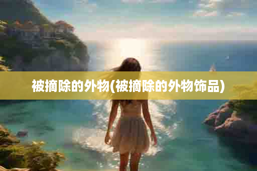 被摘除的外物(被摘除的外物饰品)