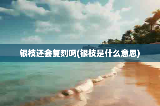 银枝还会复刻吗(银枝是什么意思)