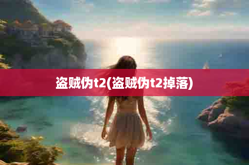 盗贼伪t2(盗贼伪t2掉落)