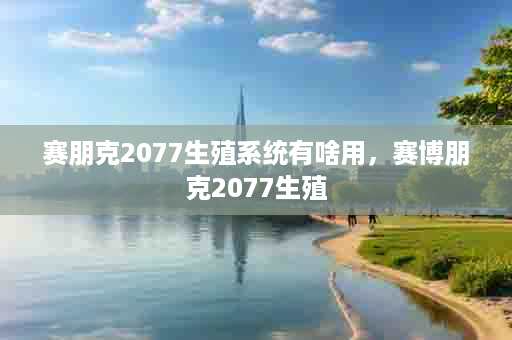 赛朋克2077生殖系统有啥用，赛博朋克2077生殖