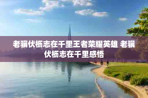 老骥伏枥志在千里王者荣耀英雄 老骥伏枥志在千里感悟