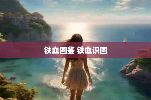 铁血图鉴 铁血识图