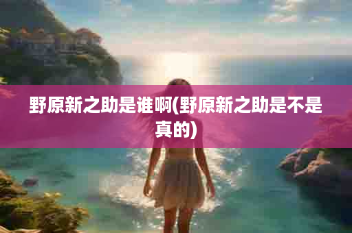 野原新之助是谁啊(野原新之助是不是真的)