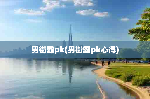 男街霸pk(男街霸pk心得)