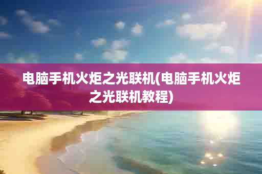 电脑手机火炬之光联机(电脑手机火炬之光联机教程)