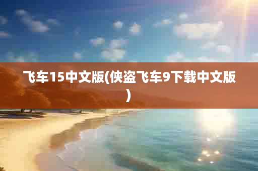 飞车15中文版(侠盗飞车9下载中文版)