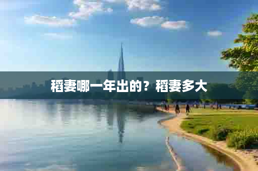 稻妻哪一年出的？稻妻多大