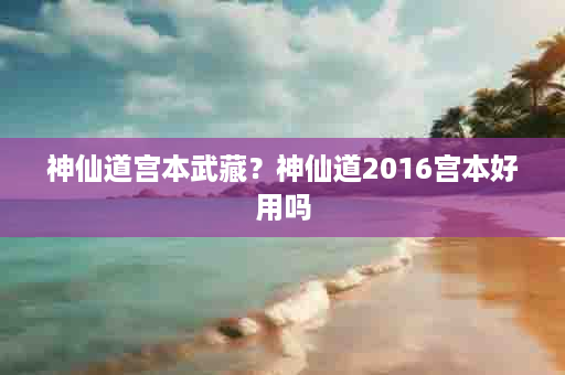 神仙道宫本武藏？神仙道2016宫本好用吗