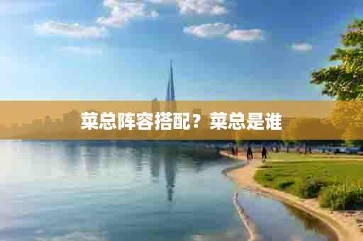 菜总阵容搭配？菜总是谁