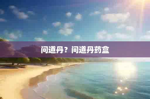 问道丹？问道丹药盒