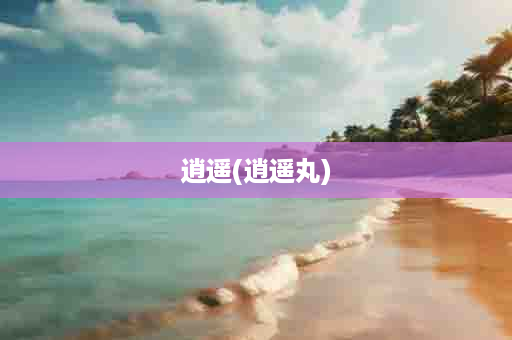 逍遥(逍遥丸)
