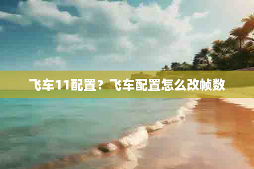 飞车11配置？飞车配置怎么改帧数