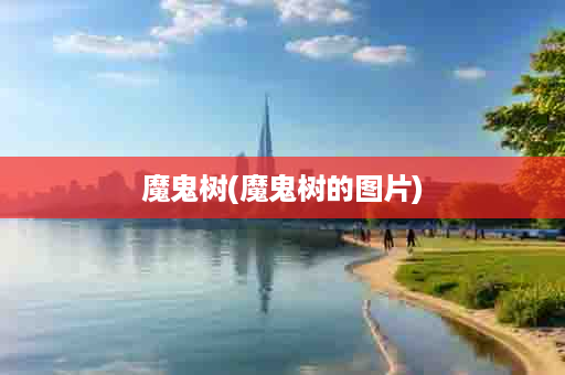 魔鬼树(魔鬼树的图片)