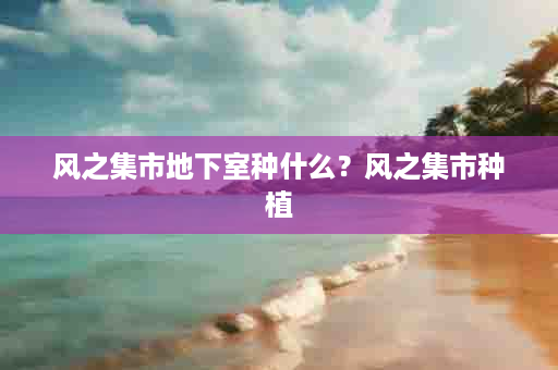 风之集市地下室种什么？风之集市种植