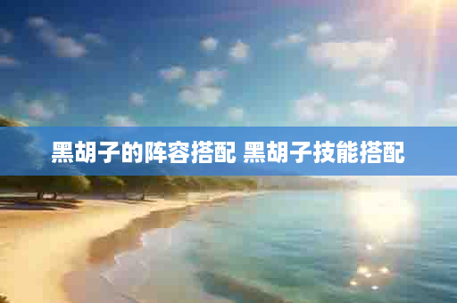 黑胡子的阵容搭配 黑胡子技能搭配