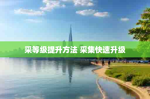 采等级提升方法 采集快速升级