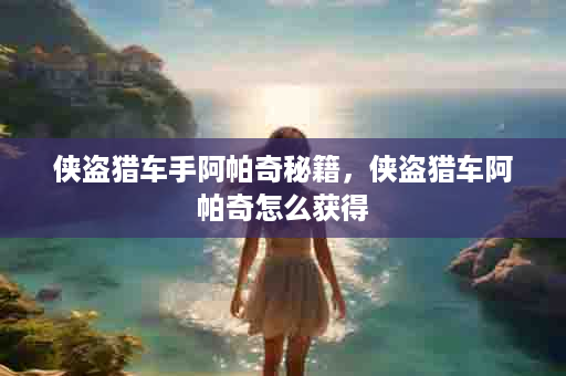 侠盗猎车手阿帕奇秘籍，侠盗猎车阿帕奇怎么获得