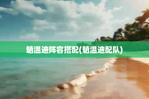魈温迪阵容搭配(魈温迪配队)