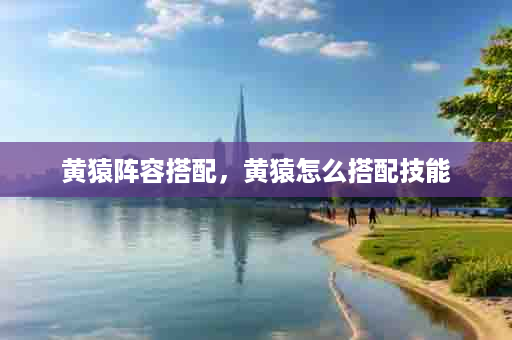 黄猿阵容搭配，黄猿怎么搭配技能