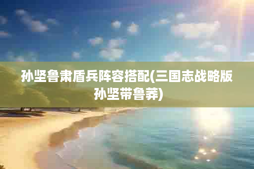 孙坚鲁肃盾兵阵容搭配(三国志战略版 孙坚带鲁莽)