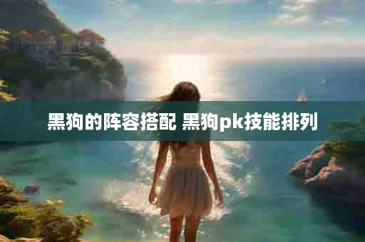 黑狗的阵容搭配 黑狗pk技能排列