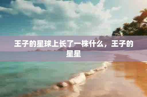 王子的星球上长了一株什么，王子的星星