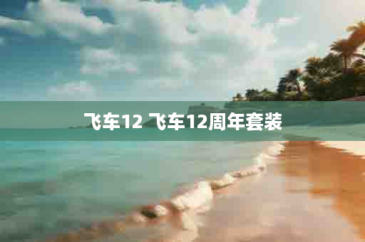 飞车12 飞车12周年套装