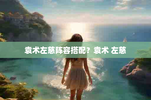 袁术左慈阵容搭配？袁术 左慈