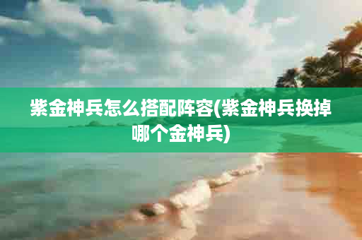紫金神兵怎么搭配阵容(紫金神兵换掉哪个金神兵)