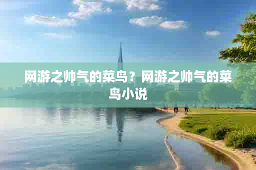 网游之帅气的菜鸟？网游之帅气的菜鸟小说