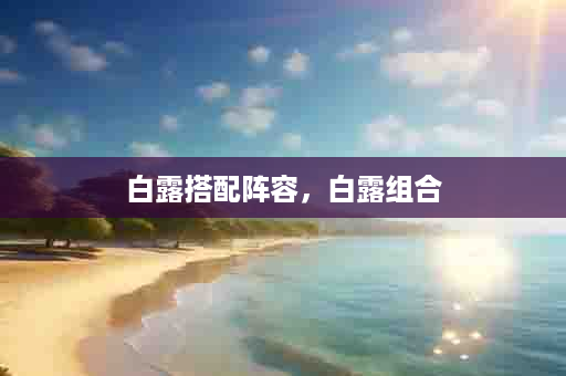 白露搭配阵容，白露组合