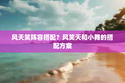 风天笑阵容搭配？风笑天和小舞的搭配方案