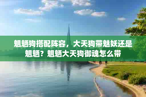 魍魉狗搭配阵容，大天狗带魅妖还是魍魉？魍魉大天狗御魂怎么带