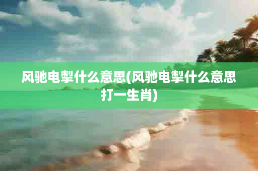 风驰电掣什么意思(风驰电掣什么意思打一生肖)