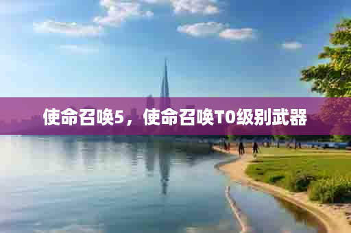 使命召唤5，使命召唤T0级别武器