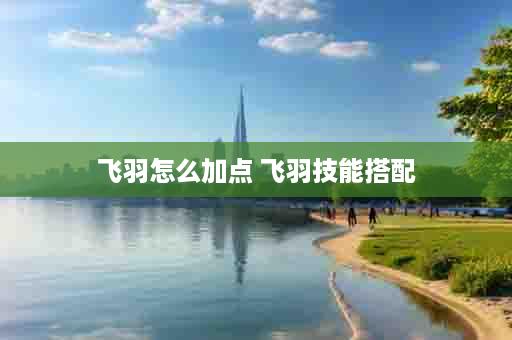 飞羽怎么加点 飞羽技能搭配