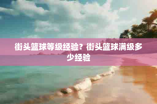 街头篮球等级经验？街头篮球满级多少经验