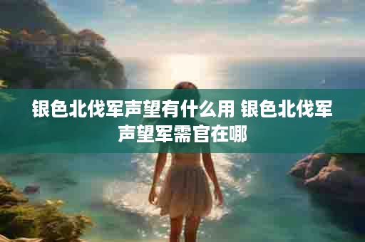 银色北伐军声望有什么用 银色北伐军声望军需官在哪