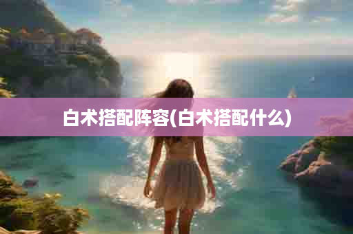 白术搭配阵容(白术搭配什么)