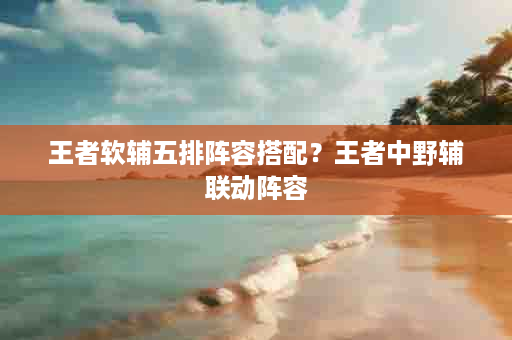 王者软辅五排阵容搭配？王者中野辅联动阵容