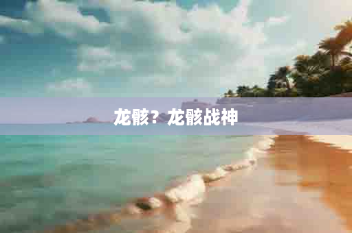龙骸？龙骸战神