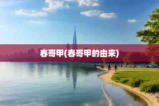 春哥甲(春哥甲的由来)