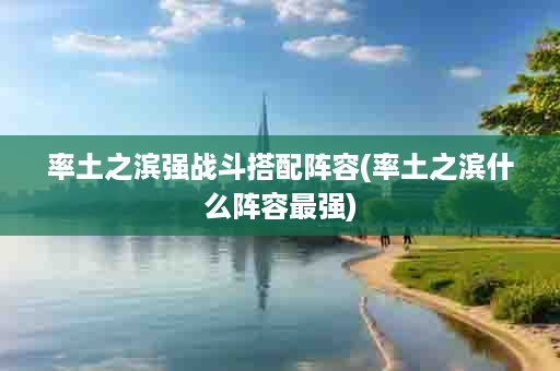 率土之滨强战斗搭配阵容(率土之滨什么阵容最强)