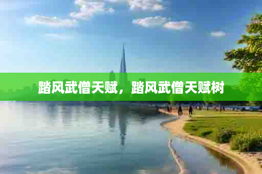 踏风武僧天赋，踏风武僧天赋树