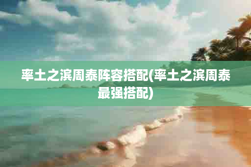 率土之滨周泰阵容搭配(率土之滨周泰最强搭配)