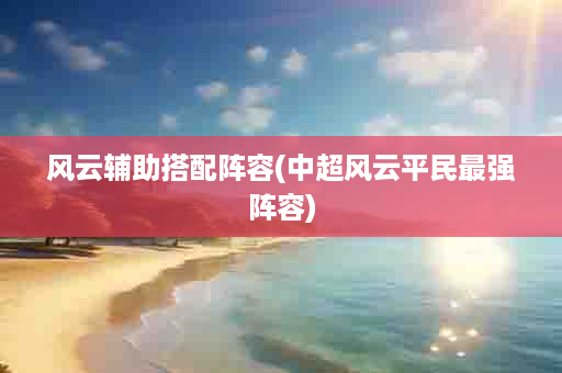 风云辅助搭配阵容(中超风云平民最强阵容)
