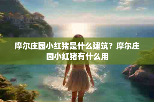 摩尔庄园小红猪是什么建筑？摩尔庄园小红猪有什么用