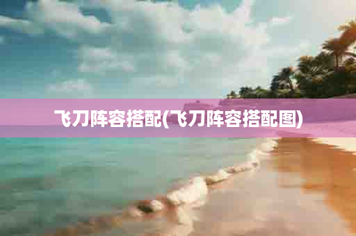 飞刀阵容搭配(飞刀阵容搭配图)